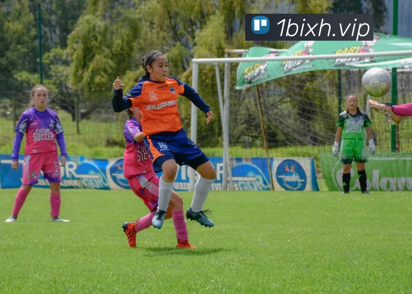 kaiyun「中国大陆」云开·门户网站 - 官方网站|登录入口平台生态图